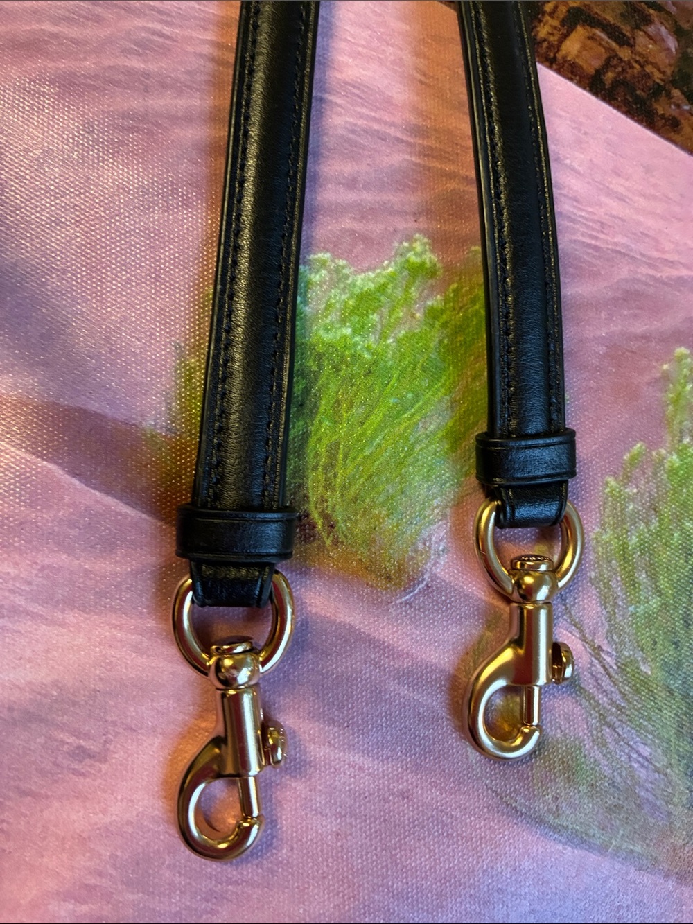 Coach Black Smooth Leather Strap with Gold Hardware.